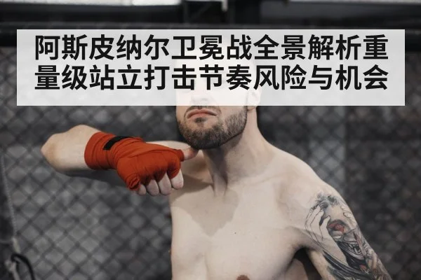 阿斯皮纳尔卫冕战全景解析重量级站立打击节奏风险与机会