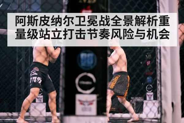 MMA octagon fight